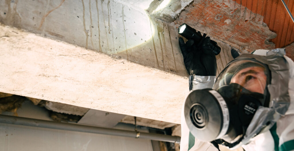 Technicien inspectant un plafond dans le cadre d’un diagnostic avant travaux.